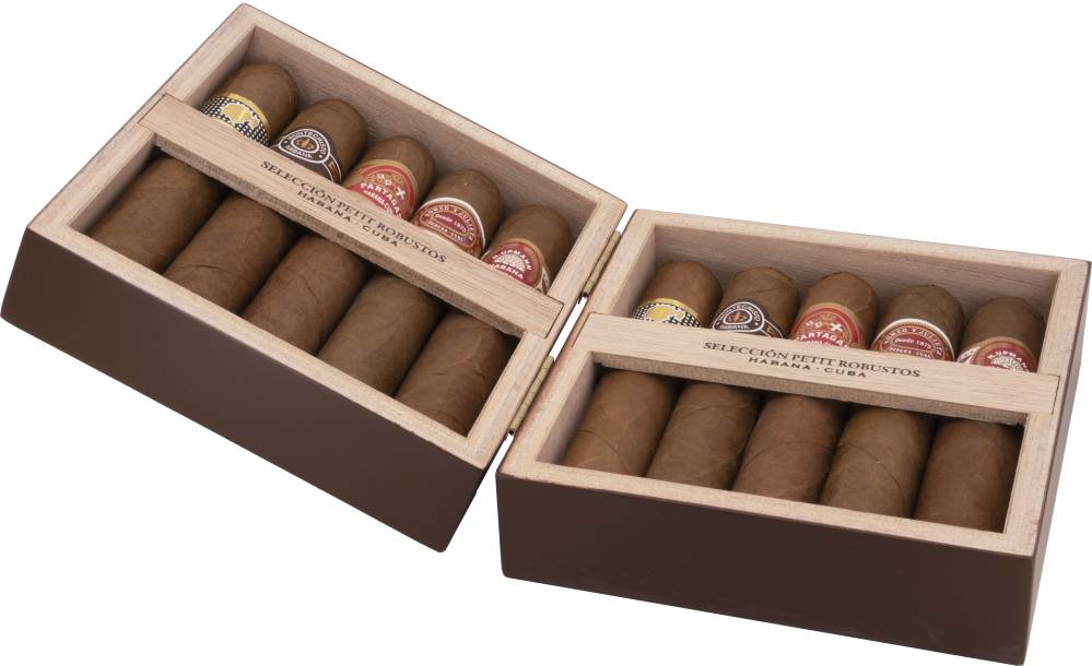 Combinaciones - Selección Petit Robusto 10's - Image 4